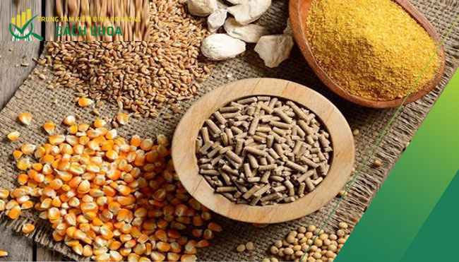 Thử nghiệm thức ăn chăn nuôi 6 thu nghiem thuc an chan nuoi vnce