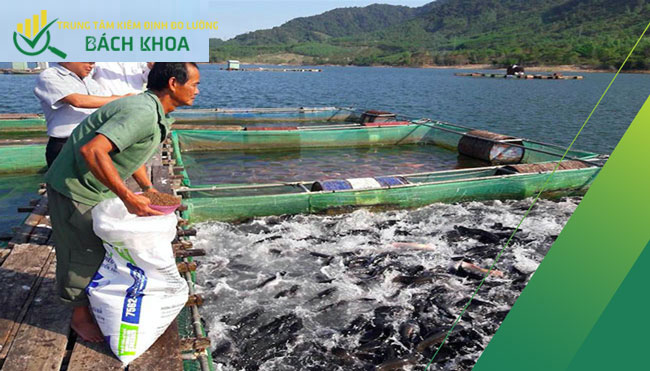 Thử nghiệm thức ăn thủy sản 6 thu nghiem thuc an thuy san